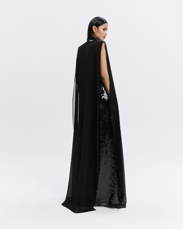 Ariel - Image 2