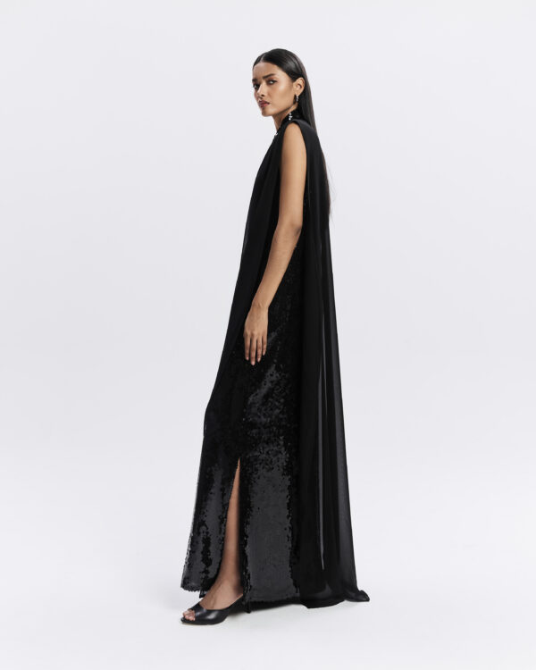 Ariel - Image 3